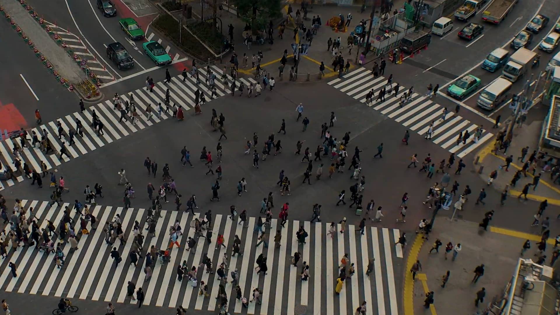 Busy crosswalk